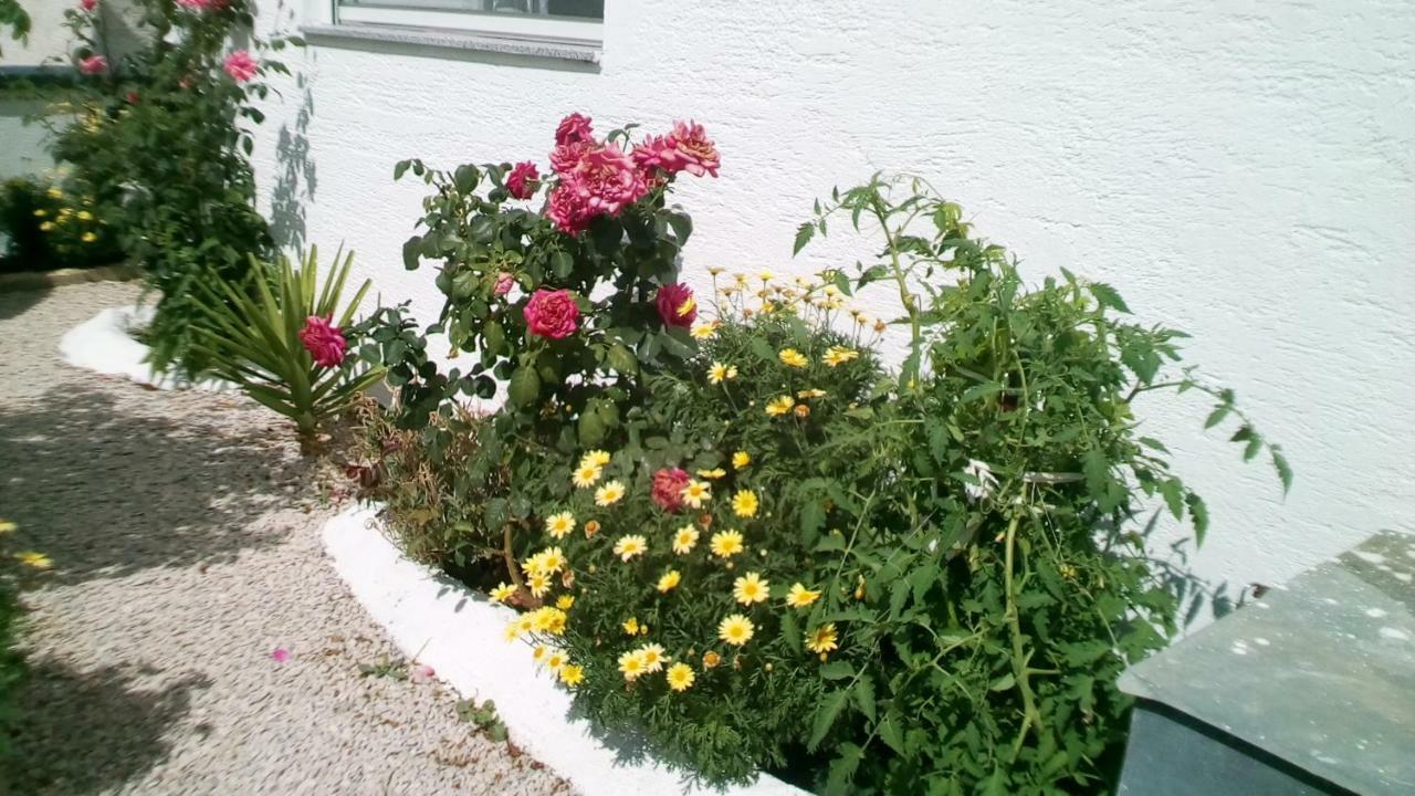 Apartment Roko فير المظهر الخارجي الصورة
